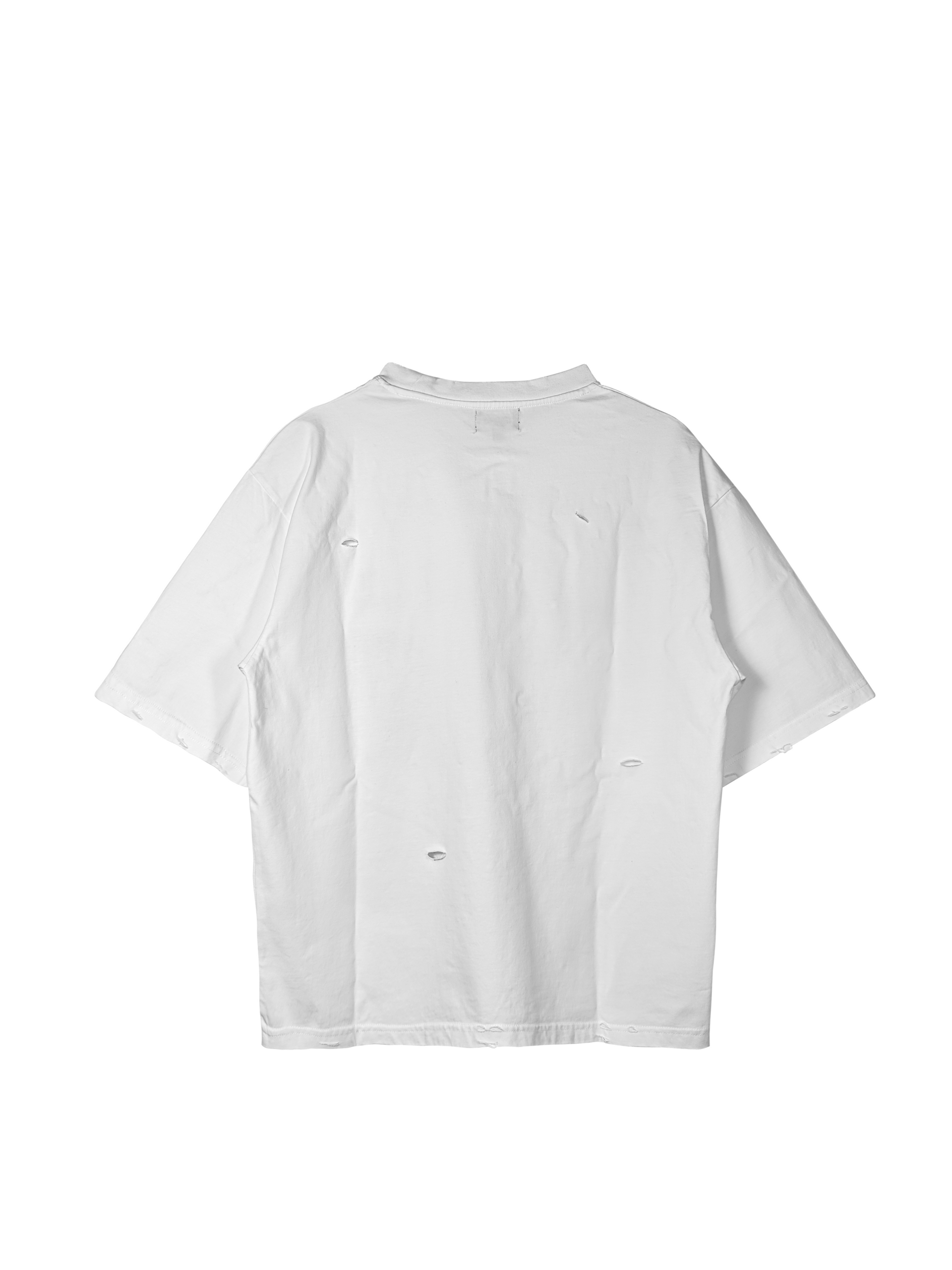 "GROWING IN GLORY" JESUS TEE