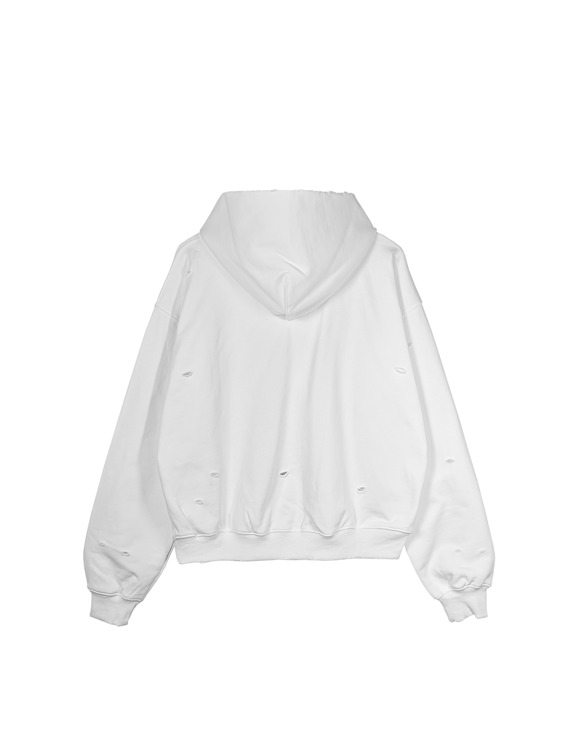 GROWING IN GLORY HOODIE